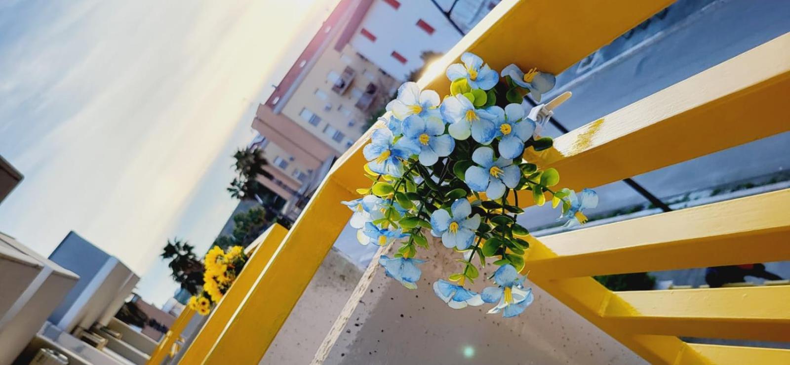 Apartment Il Bacio Del Sole